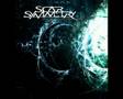 Scar Symmetry - The Three-Dimensional Shadow ...