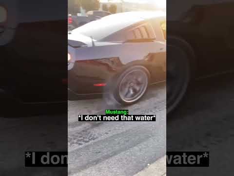 The Mustang Didn't Need That Water 😮‍💨