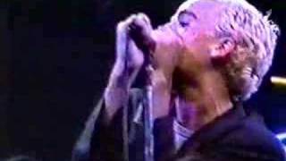 R.E.M. - 10/02/85 Germany 19. Toys In The Attic