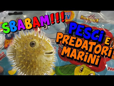 KREATUREX 🐳 PESCI e PREDATORI MARINI 🐡 SUBITO SPECIALE alla FRAGOLA! 🍓 Sbabam | Speciale Edicola