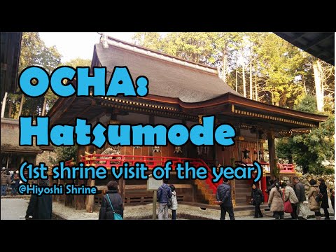 Ocha: Hatsumode, the first shrine visit of the year!