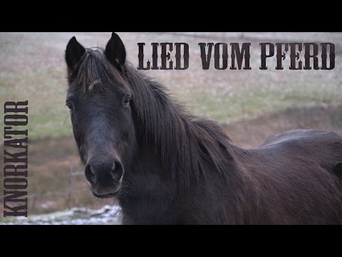 Das Lied vom Pferd - Knorkator