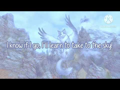 I'll Fly karaoke (Blixemi)