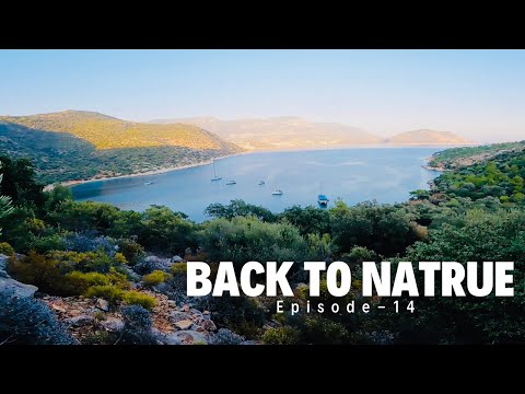 Sailing from Kas to Yesilkoy Bay (BACK to NATRUE) 🌳A Solo Sailing Adventure ⛵️ Sailing My Way▸Ep 14