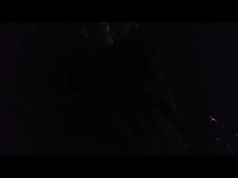 #wEAREHIRING4WORLDWIDEPEACE Will SNL DYKE AND FATS BE A MOVIE IN THE WORKS FEATURING THE DISRUPTOR A