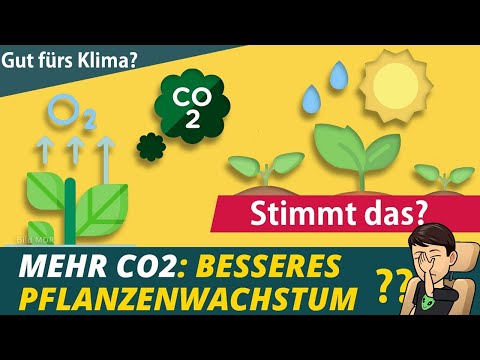 Ist mehr CO2 gut für Pflanzen und Klima? (Klimafakten)