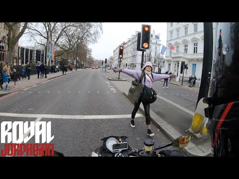 Daily Observations 293