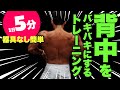 器具がなくてもできる背中の自重トレーニング!1日5分自宅で簡単にできる筋トレ【体幹】