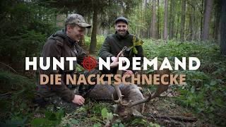 Damwildbrunft im Forstgut Reilmann 🦌 die Nacktschnecke von @hunterbrothersofficial