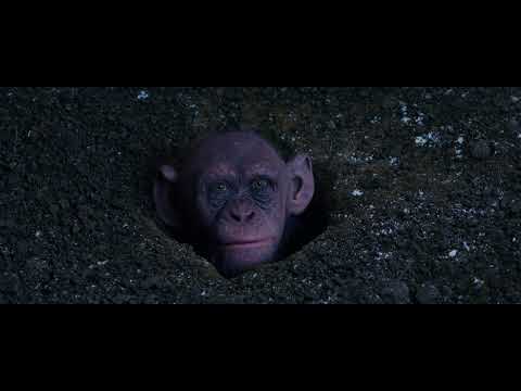 War for the planet of the Apes - Bad Ape gets into che camp.