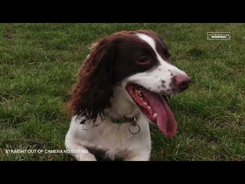 The Honor View 20 is a Really Big Deal   Smartphones 2019 Review