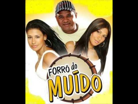 Você Me Deu Amor Sem Amar - Forró do Muído