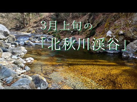 檜原村の見どころ「3月の北秋川渓谷」【渓谷】【散策】