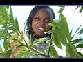 Ebyorikurabamu Nankunda Norah
