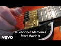Steve Wariner - Bluebonnet Memories (Lyric Video)