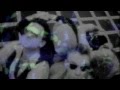 U2- Lady With the Spinning Head (UV1) (Official-Unofficial) music video - awesomenessk U2- Lady With the Spinning Head (UV1) (Official-Unofficial) music video