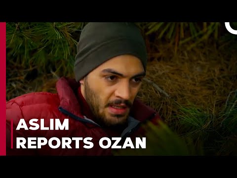 Reports Her Lover To the Police - Can't Stop Loving You