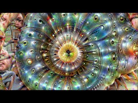 A fractal in the google deep dream