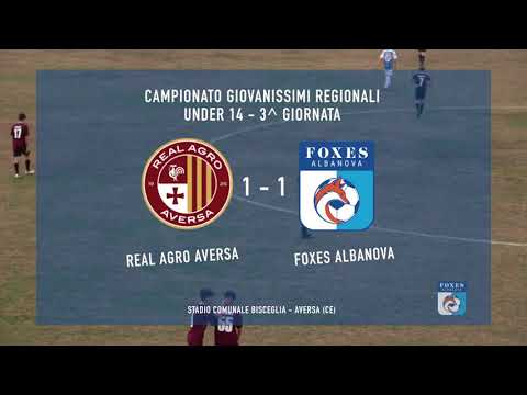 highlights Real Agro Aversa vs Foxes Albanova
