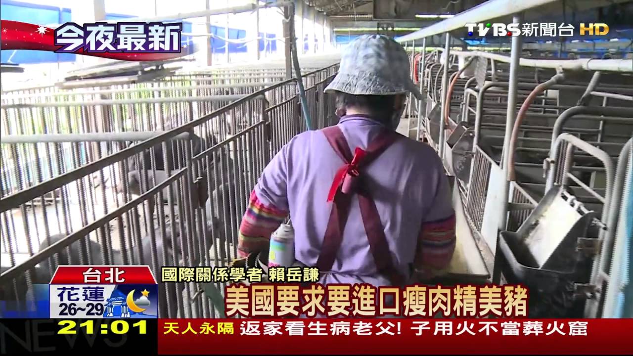 「出席不代表接受一中」 綠拍板參加WHA