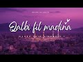 QALBI FIL MADINA - (BY  MAHER ZAIN  X  HARRIS J)  - LYRICS 
