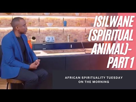 Isilwane explained - Part 1