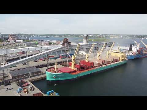 Jasmina D loading at Halifax Grain Elevator