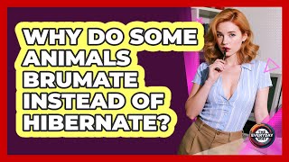 Why Do Some Animals Brumate Instead Of Hibernate? - The Everyday Why