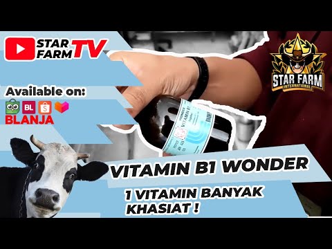 , title : 'Vitamin B1 Wonder - STAR FARM STORE'