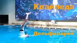 Дельфинарий и морские животные в Клайпеде.