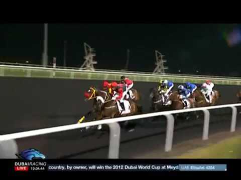 Dubai World Cup 2017: Race 6 - Dubai Golden Shaheen sponsored by Gulf News