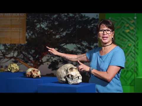 Video Universidad de Antioquia