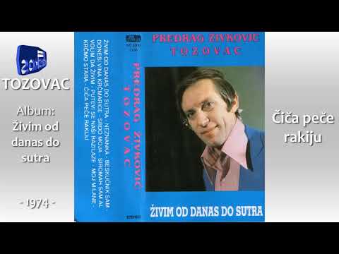 Predrag Zivkovic Tozovac - Cica pece rakiju - (Audio 1974)
