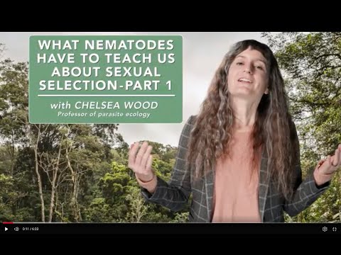 What nematodes have to teach us about sexual selection - Part 1