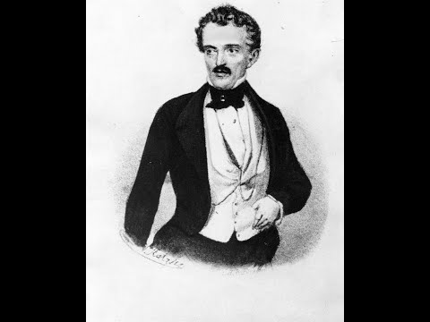 Johann Strauss Sr. - Best Waltzes Vol.3