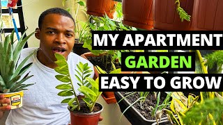 Why I Started Growing Food In My Apartment