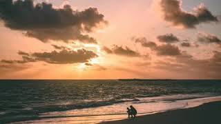 Armin Van Burren  feat. Sam Martin Wild Wild Son (Lyrical Video)