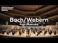 bach fuga ricercata a 6 voci nr. 2 bwv 1079 ingo metzmacher philharmonisches staatsorchester