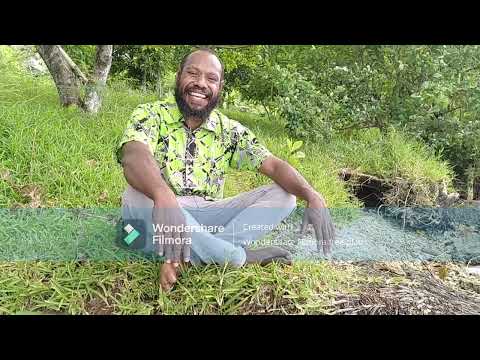 Nelcompne (Titus Simon)