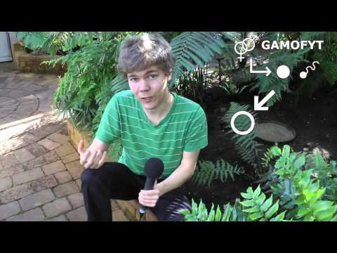 Botaniskt 3: Ormbunkarna och evigheten