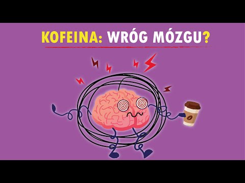 KAWA: powolny ubytek mózgu czy neuroprotekcja? Oto co naprawdę pokazuje MRI
