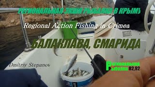 Как поймать морского окуня в крыму