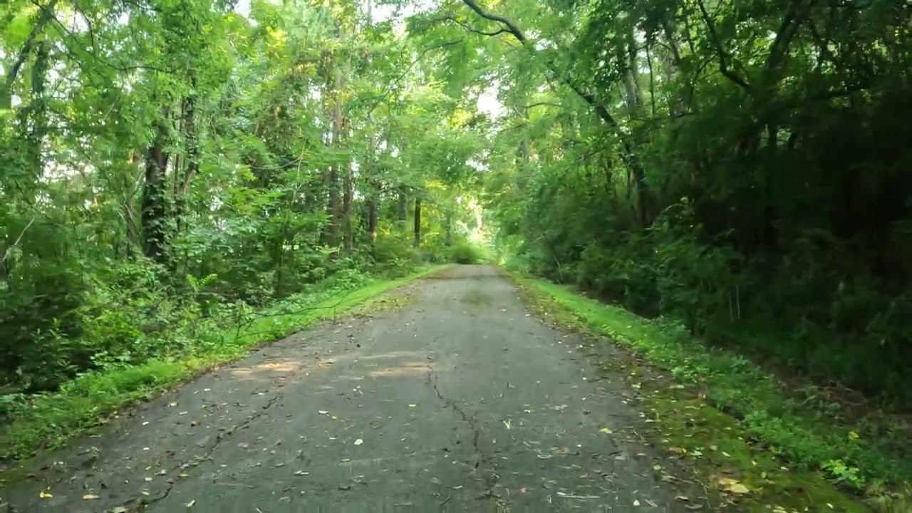 Relaxing 1 Minute of Walking a Country Road (no talking)