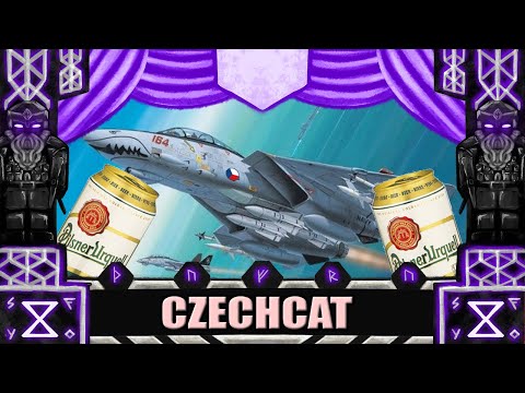 Kdyby AČR létalo na Tomcatech #shorts