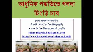 আধুনিক পদ্ধতিতে গলদা চিংড়ি চাষ [Modern Culture System of Prawn