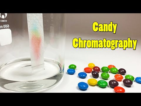 黒いペンに隠れた虹！インクの分解実験