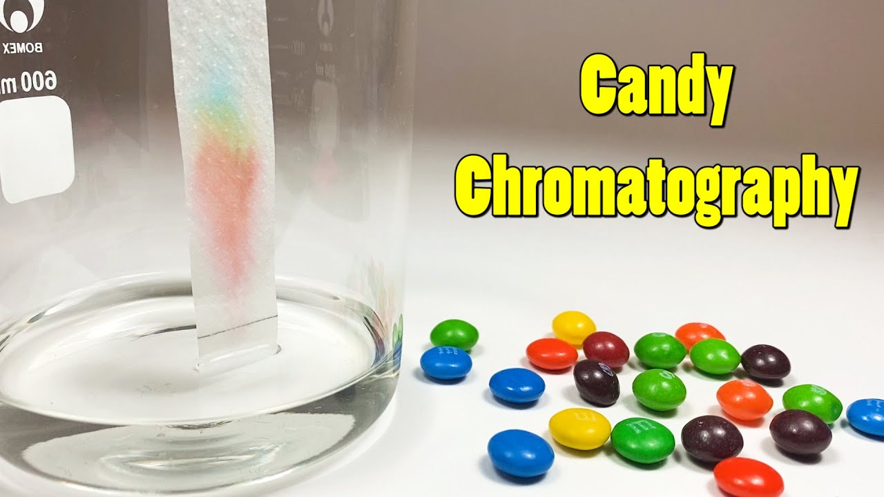 Candy Chromatography: What Colors Are in Your Candy? | Science Project