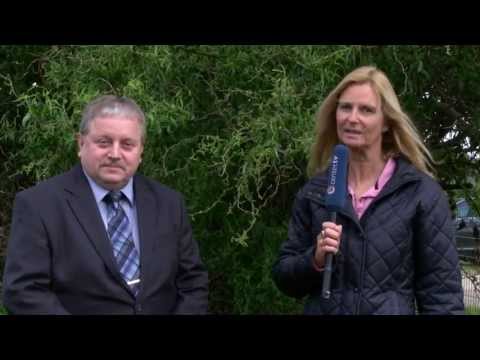 Qualitäts- und Umweltmanagement - Managementberatung - Dr. Josef Haas im Interview