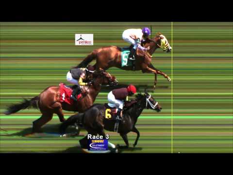 PIMLICO 5-14-17 REPLAY SHOW