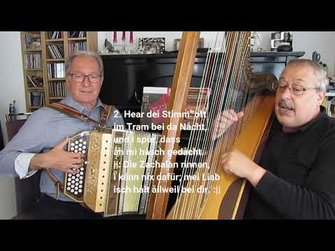 In Gedanken bin i bei dir - Hedi Preissegger